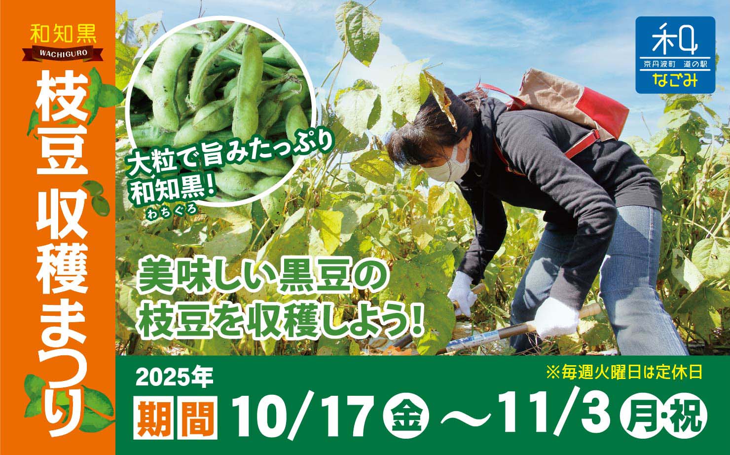 道の駅 和のイベント 枝豆収穫まつり