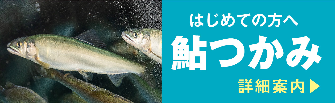 道の駅 和 鮎ガーデン「鮎つかみ」
