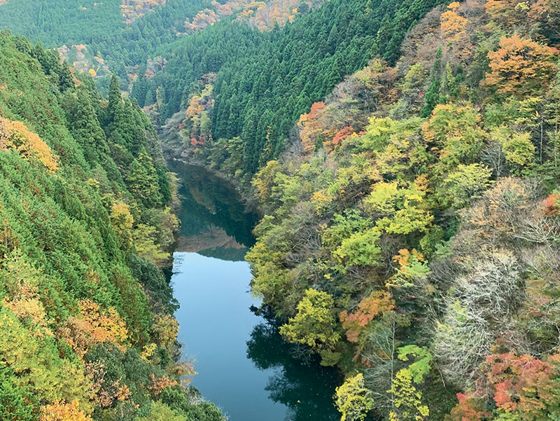 道の駅 和-なごみ-周辺の景色